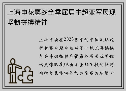 上海申花鏖战全季屈居中超亚军展现坚韧拼搏精神